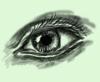 <img100*0:stuff/egchar_misc_wikieye.JPG.jpg>