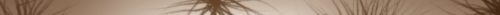<img:http://elftown.heddate.com/stuff/eof27.jpg>
