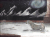 <img50*0:http://elftown.heddate.com/stuff/equusdream_513464321654.jpg.gif>