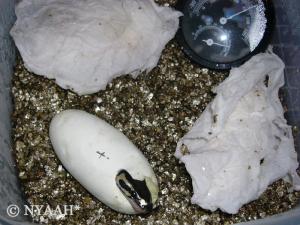 <img300*0:stuff/erstes_baby.jpg>