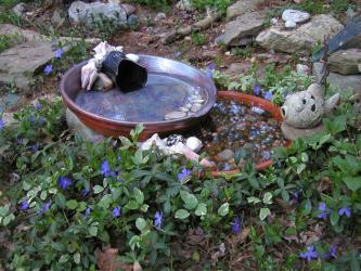 <img0*250:stuff/evening%20bath.jpg>