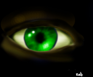 <img:stuff/eye.zab.jpg>