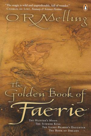 <img300*0:stuff/faery%20book.png>