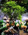 <img100*0:stuff/faery%20in%20mushroom%20garden%20.jpg>