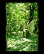 <img150*0:stuff/faeryunderthetree.jpg>