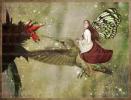 <img0*100:stuff/fairy_colibri_fantasy_art.jpg>