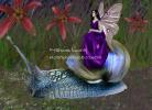 <img0*100:stuff/fairy_snail_carriage.jpg>