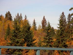 <img300*0:stuff/fall_creek.jpgS.jpg>