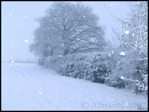 <img300*0:http://elftown.heddate.com/stuff/februarysnowbyataykuracolourc.jpg>