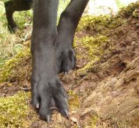 <img200*0:stuff/feet1zab.jpg>