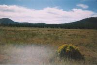 <img200*0:stuff/field2.jpg>
