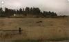 The field is the world