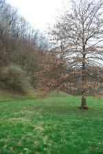 <img150*0:stuff/fieldv.jpg>