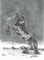 <img0*200:stuff/fire_847987431.jpg>
