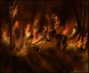 <img300*0:stuff/firehorse124243.jpg>