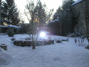 <img:stuff/fireingarden.jpg>