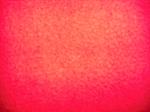 <img150*0:stuff/fleece.jpg>