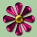 <img:stuff/flower6.jpg>