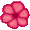 <img:stuff/flowerbullet2.jpg>