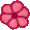 <img:stuff/flowerbullet5.jpg>