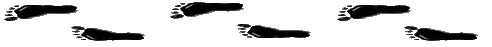 <img:stuff/footprintsjitterdiv.gif>