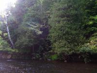 <img0*150:stuff/forks%20river%201.jpg>