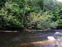 <img0*150:stuff/forks%20river%203.jpg>