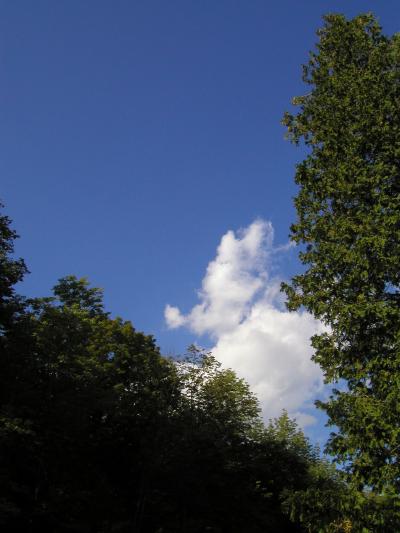 <img400*0:stuff/forks%20sky.JPG>