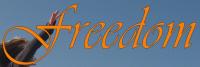 <img200*0:stuff/freedom%20iuna3.jpg>