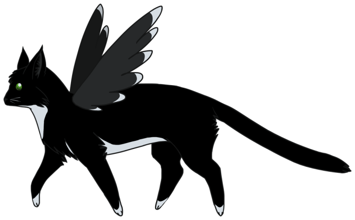<img700*0:stuff/fromaeolynn2011.png>