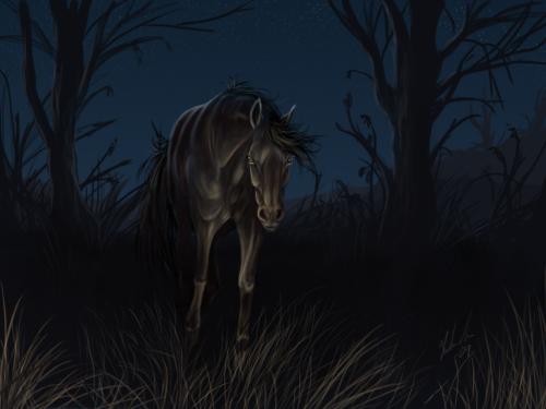 <img500*0:http://elftown.heddate.com/stuff/fronthorsefin.jpg>