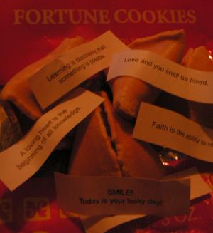 <img300*0:stuff/future.jpg>
