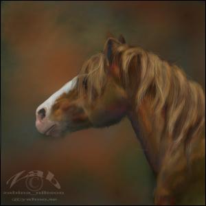 <img300*0:http://elftown.heddate.com/stuff/ghdgdghdhgdf.jpg>