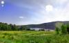green pastures