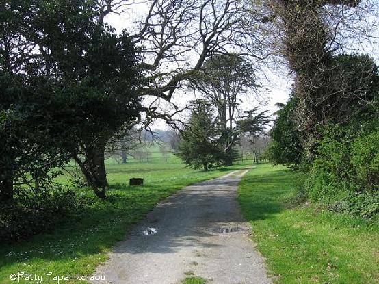 <img:stuff/greenway.jpg>