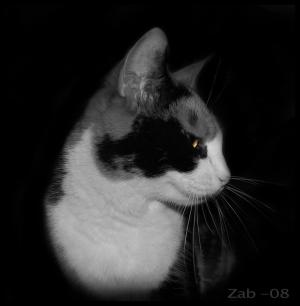 <img300*0:http://elftown.heddate.com/stuff/greyyelloe.jpg>