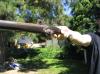 <img100*0:stuff/gun_05.jpg>