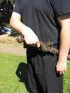<img100*0:stuff/gun_11.jpg>
