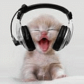 <img:stuff/happy.gif>