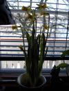 <img100*0:http://elftown.heddate.com/stuff/happyeastersharky.jpg>
