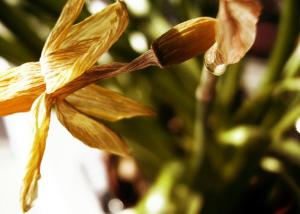 <img300*0:stuff/herbstiges.jpg>