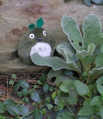 <img400*0:stuff/hiding%20totoro.jpg>