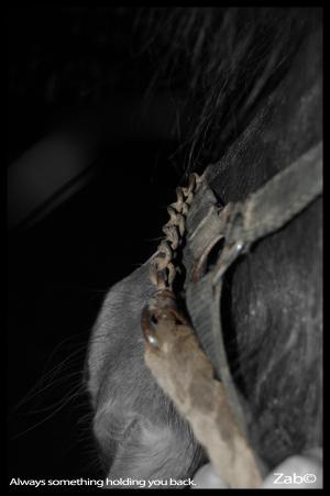 <img300*0:stuff/holdingyourbackchain.jpg>
