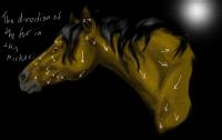 <img200*0:stuff/horsemwaa%20copdir.jpg>
