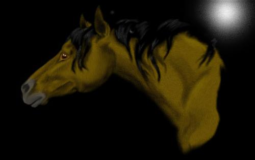<img500*0:stuff/horsemwaa%20copy.jpg>