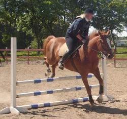<img250*0:stuff/horserefzab1.jpg>