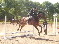<img250*0:stuff/horserefzab10.jpg>