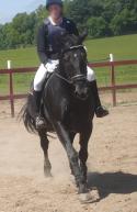 <img125*0:stuff/horserefzab14.jpg>