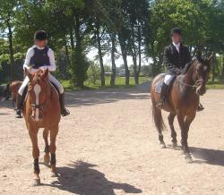 <img250*0:stuff/horserefzab20.jpg>