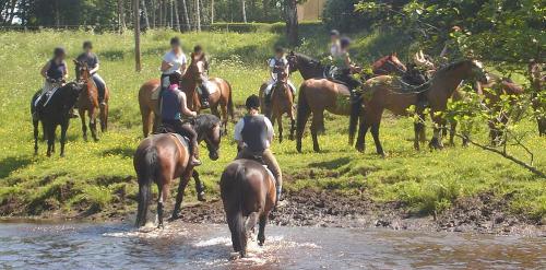 <img500*0:stuff/horserefzab22.jpg>